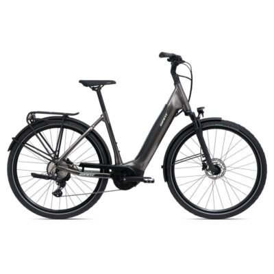 Giant DailyTour E+ 2 D LDS (RideDash Evo)