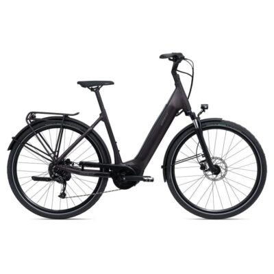 Giant DailyTour E+ 3 LDS (RideDash Evo)