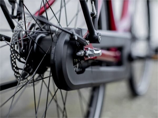 Trek District+ 4 Lowstep 300wh Shimano Nexus 2022 – Image 4